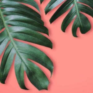 Meet your Posher, Darci